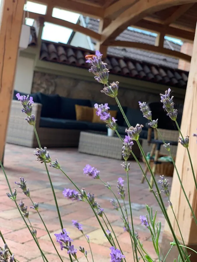 Manna Villa Eger Apartmán